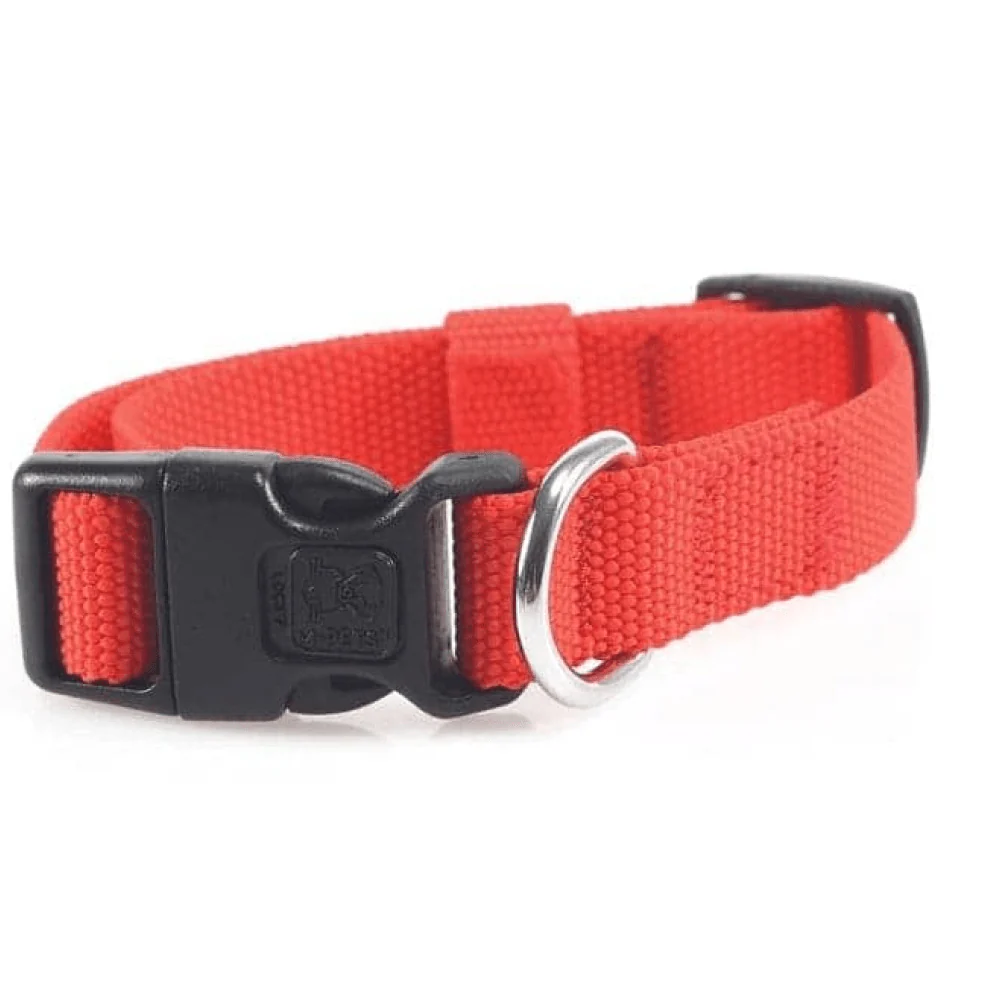 M Pets Jolly Eco Collar for Dogs (Red) - Image 3