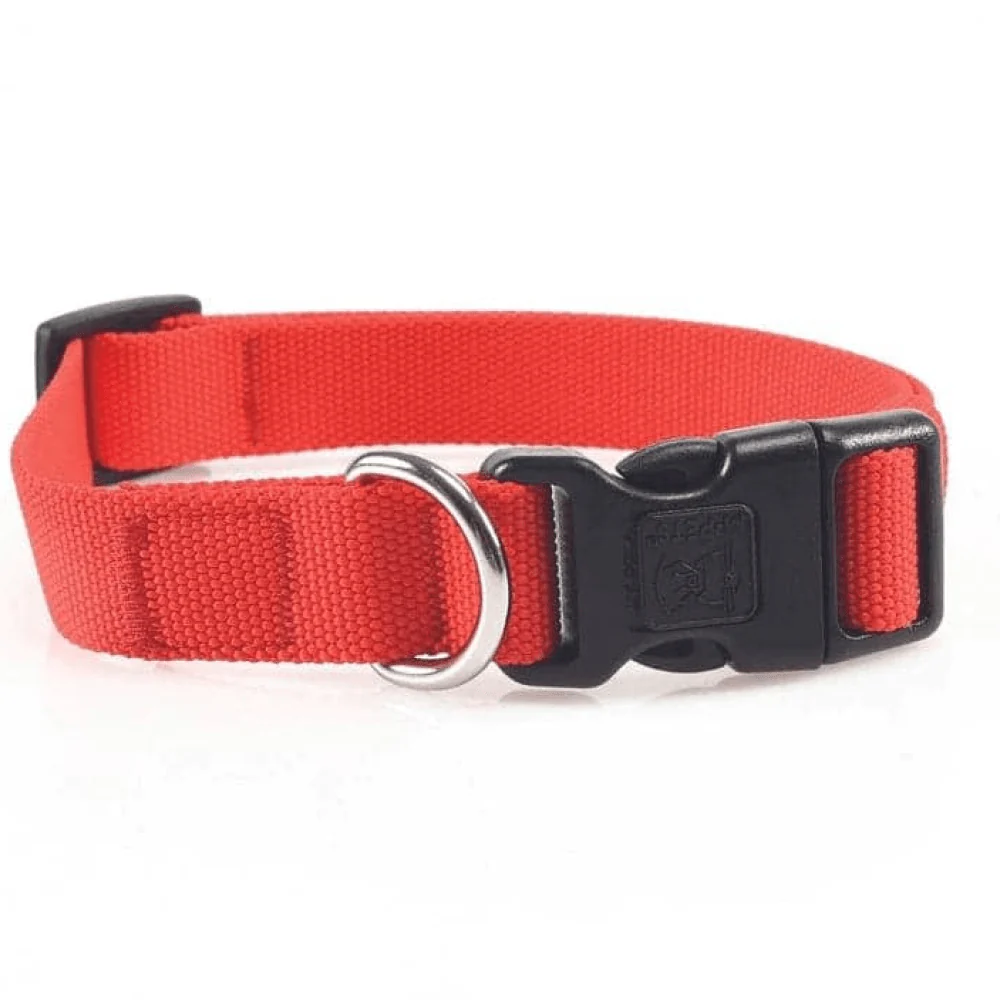 M Pets Jolly Eco Collar for Dogs (Red) - Image 4