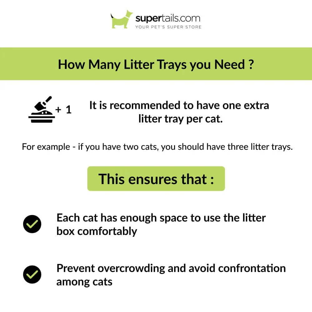 M Pets Mansura Litter Tray with Rim for Cats (White/Green) - Image 3