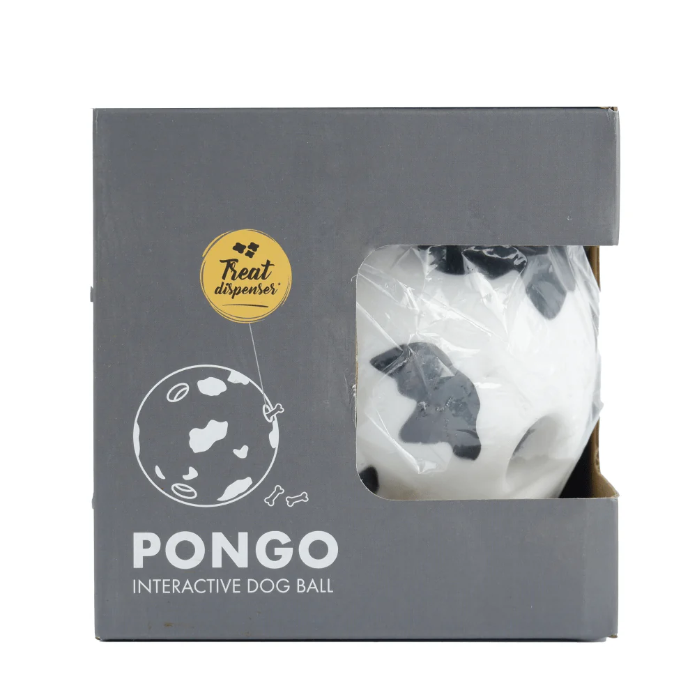 M Pets Pongo Interactive ball Toy for Dogs - Image 2