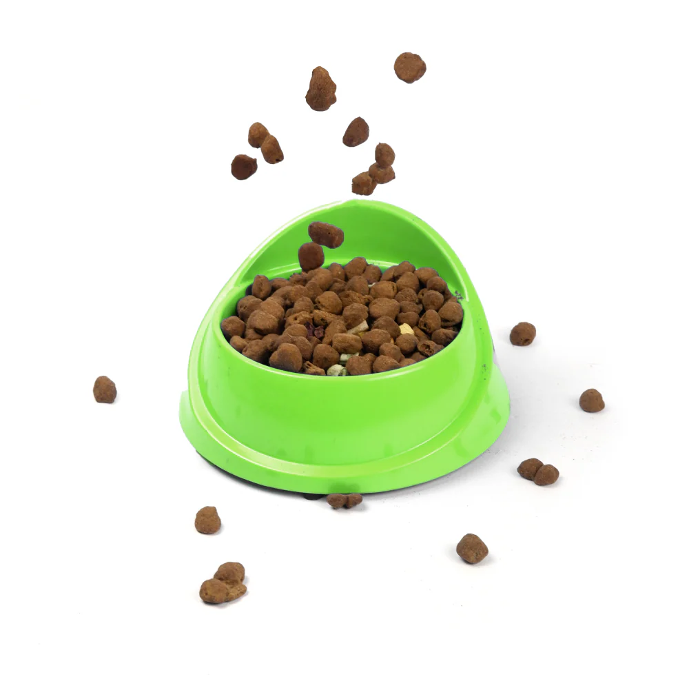 M Pets Single Fashion Diner Bowl for Dogs and Cats (Green) - Image 5