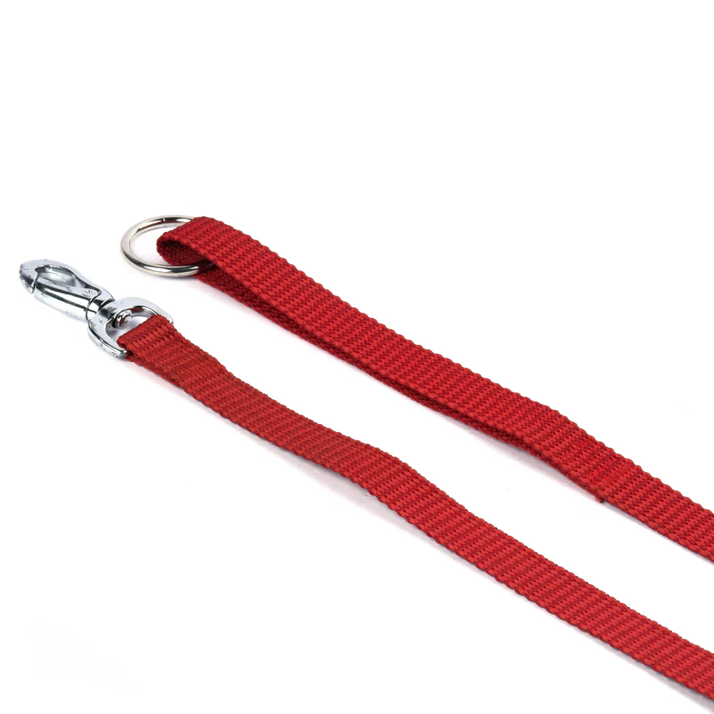 M Pets Sportline Leash for Dogs (Red) - Image 5