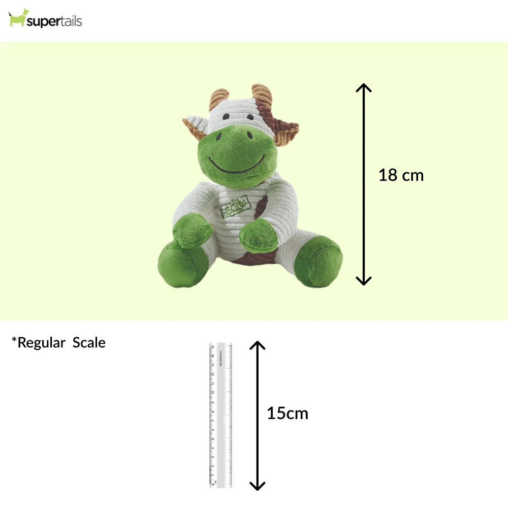 M Pets Terra Ella Eco Toy for Dogs (White) - Image 2