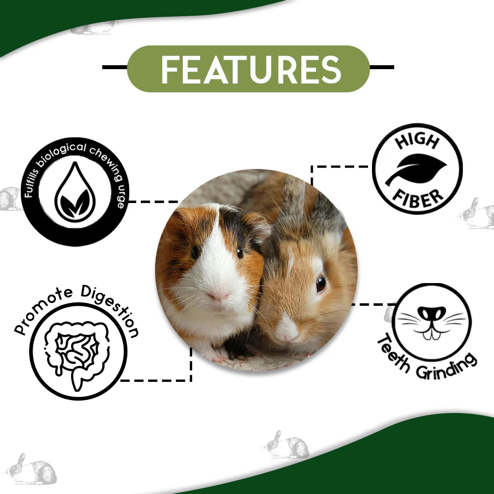 M Pets Training Wheel For Hamsters and INR'S Farm Fresh Timothy Hay Natural Fruits and Flower Stick Treats for Small Animals Combo - Image 7
