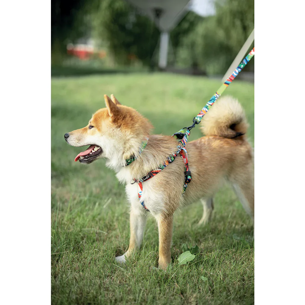 M Pets Urban Style Freestyle Harness for Dogs - Image 4