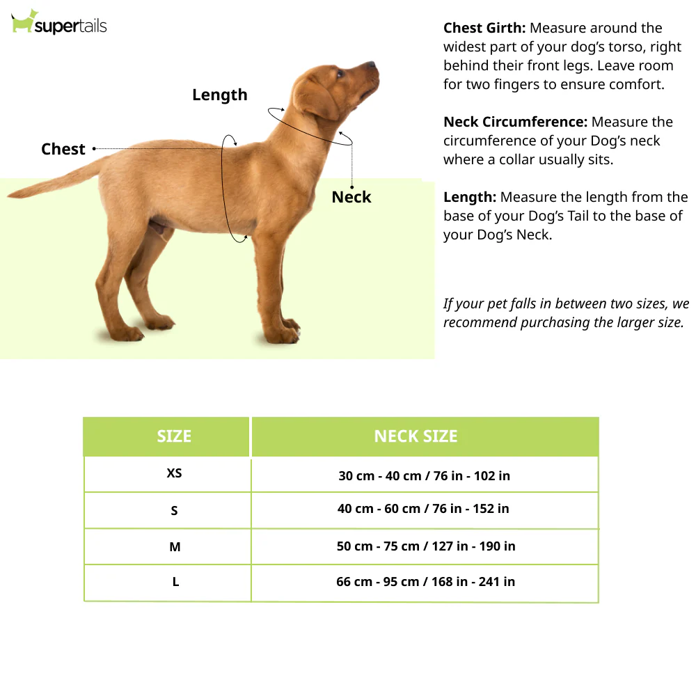 M Pets Urban Style Freestyle Harness for Dogs - Image 5
