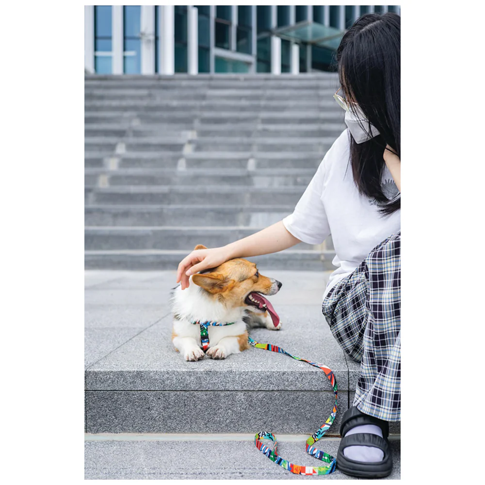 M Pets Urban Style Freestyle Harness for Dogs - Image 7