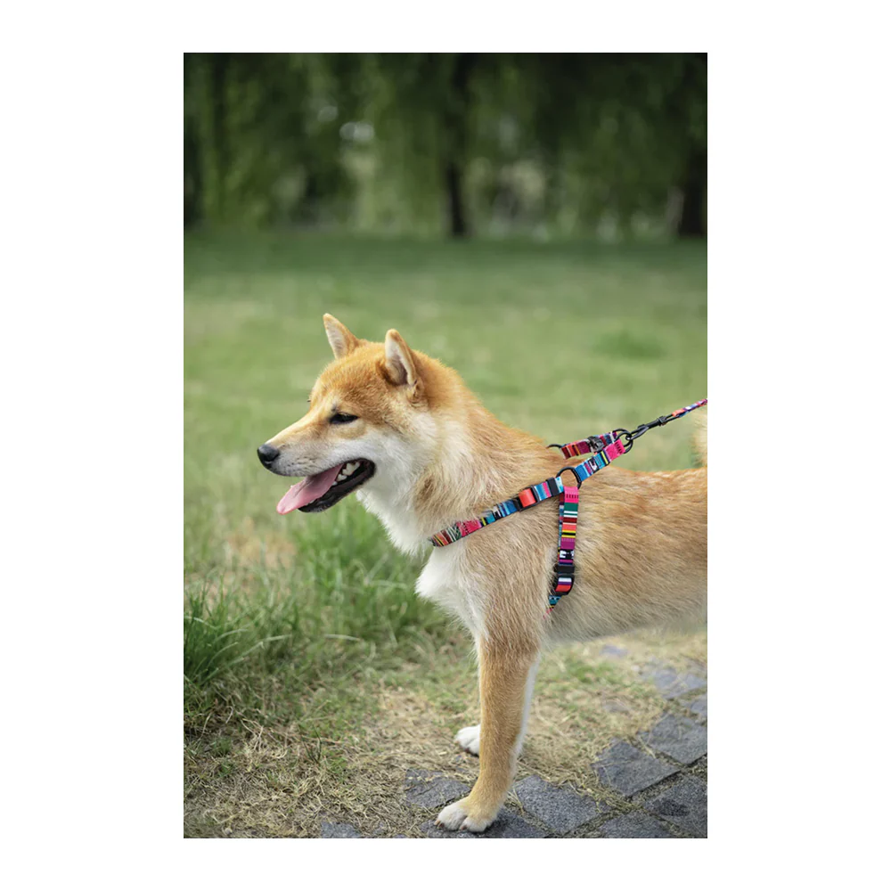 M Pets Urban Style Jazz Stripes Harness for Dogs - Image 2