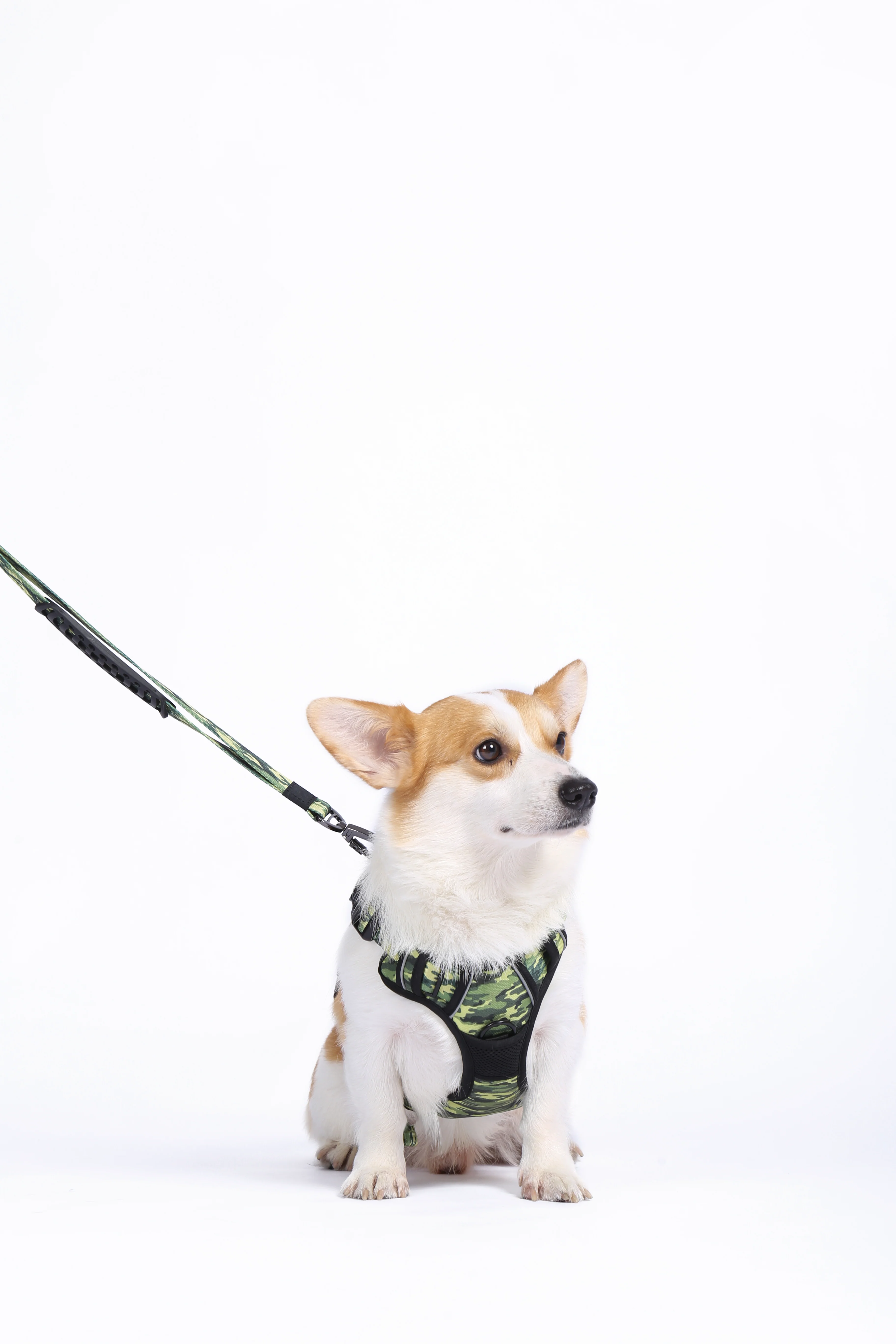 M Pets Water Resistant 3buckle Hiking Harness for Dogs (Camo) - Image 5