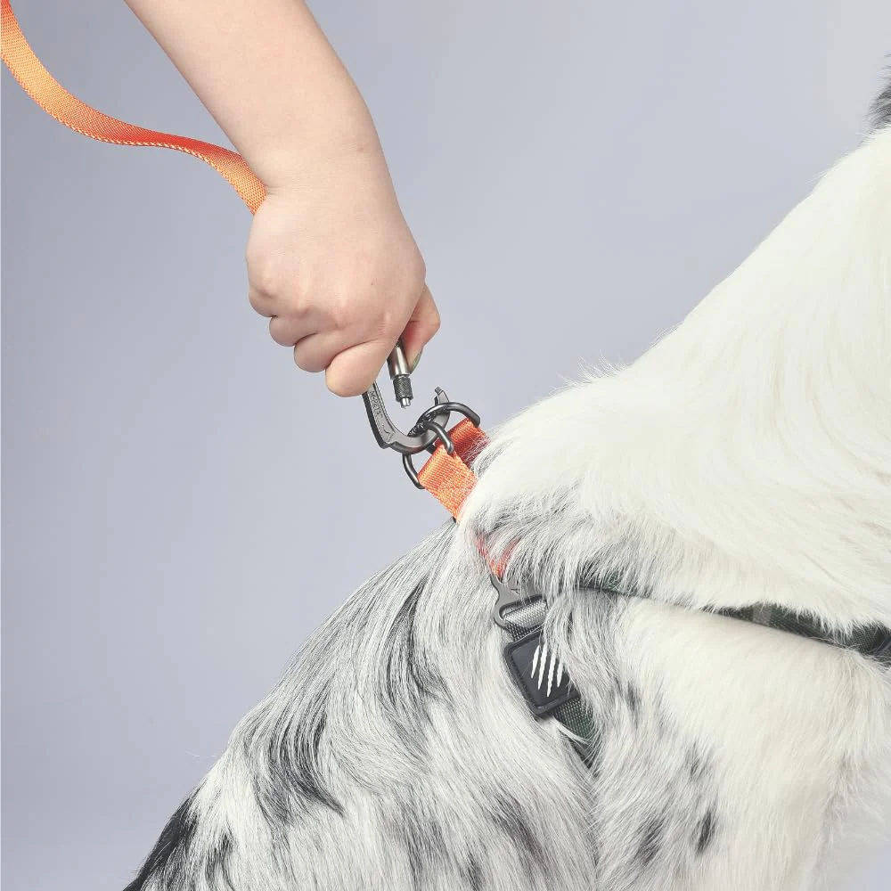 M Pets Wild Jungle Control Leash for Dogs - Image 3