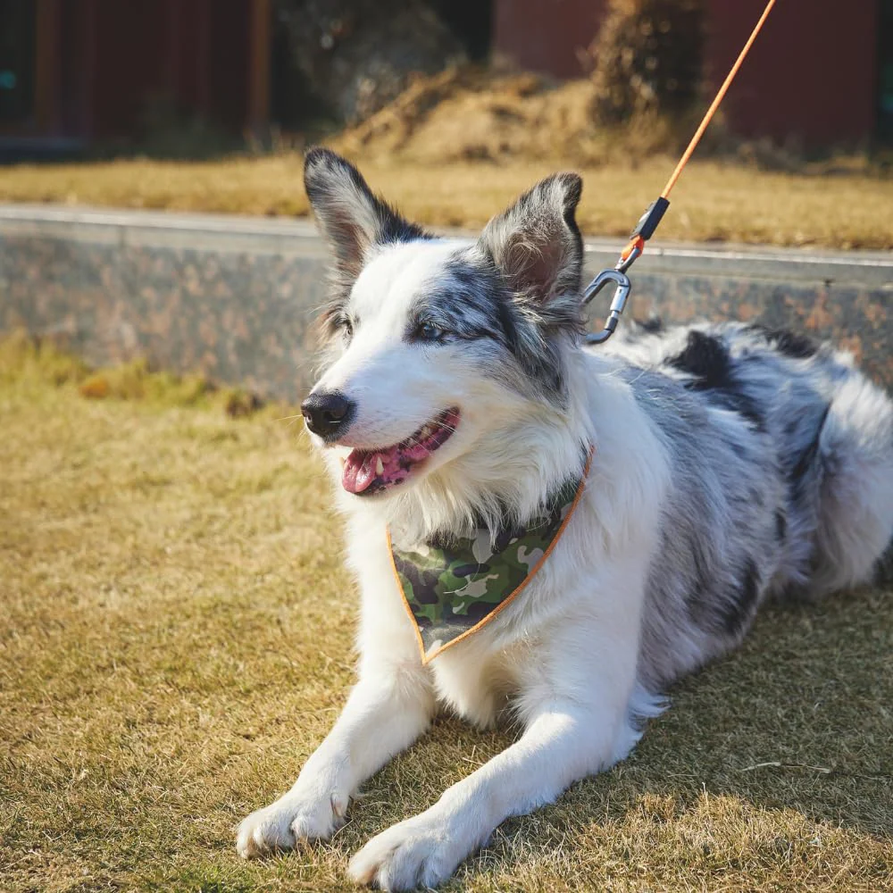 M Pets Wild Jungle Control Leash for Dogs - Image 5