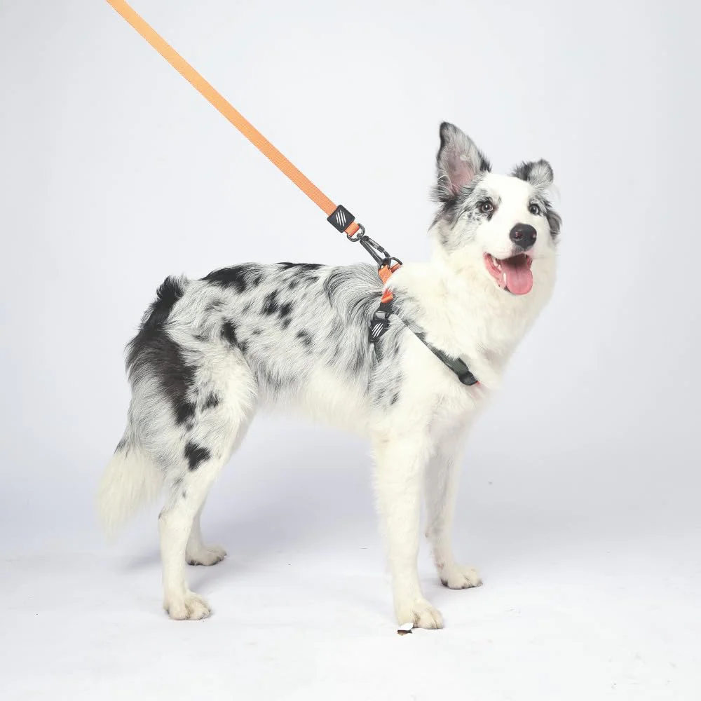 M Pets Wild Jungle Control Leash for Dogs - Image 6