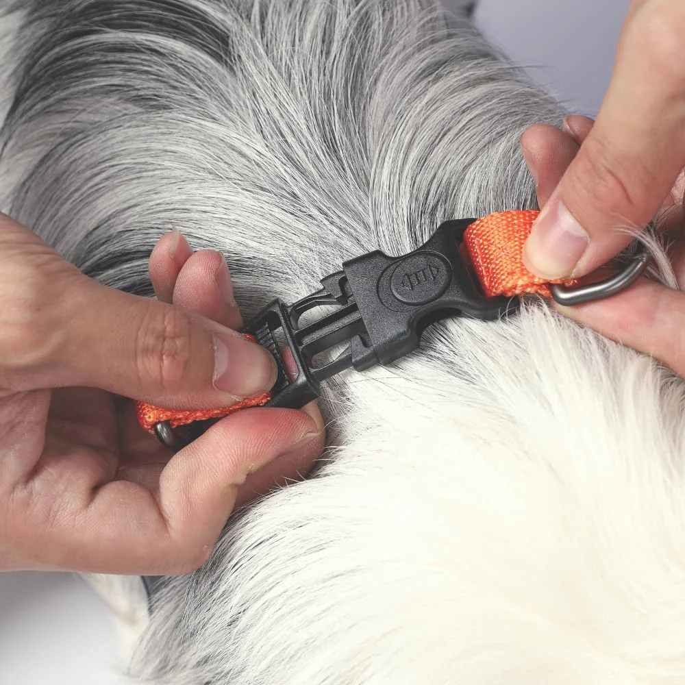 M Pets Wild Jungle Harness for Dogs - Image 3