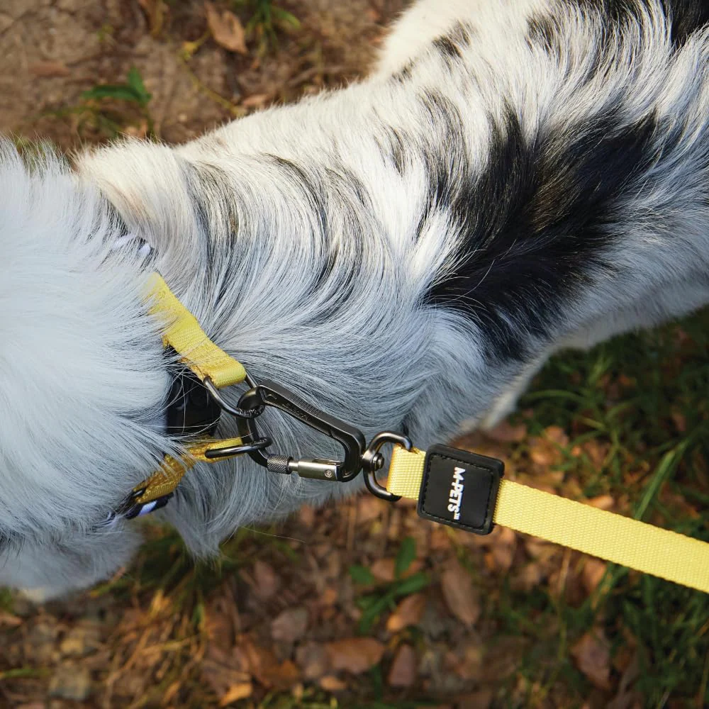 M Pets Wild Safari Control Leash for Dogs - Image 3