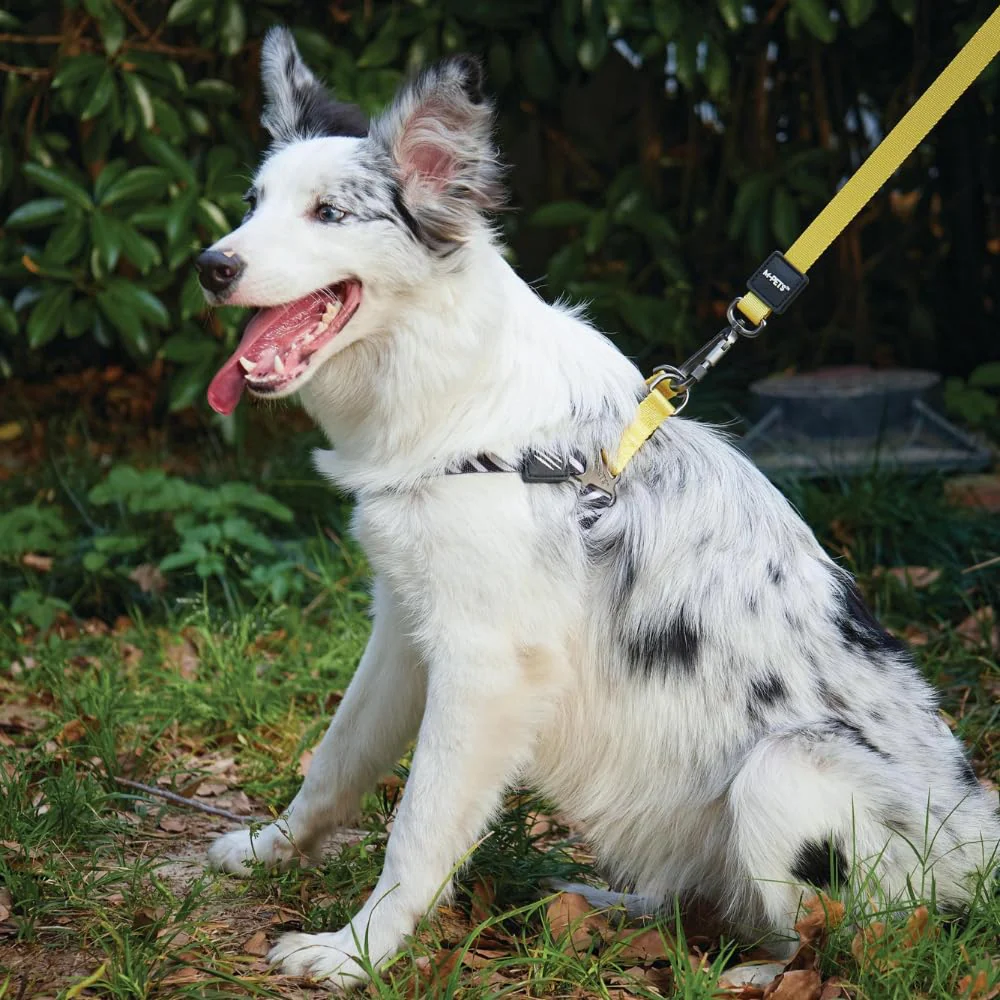 M Pets Wild Safari Control Leash for Dogs - Image 4