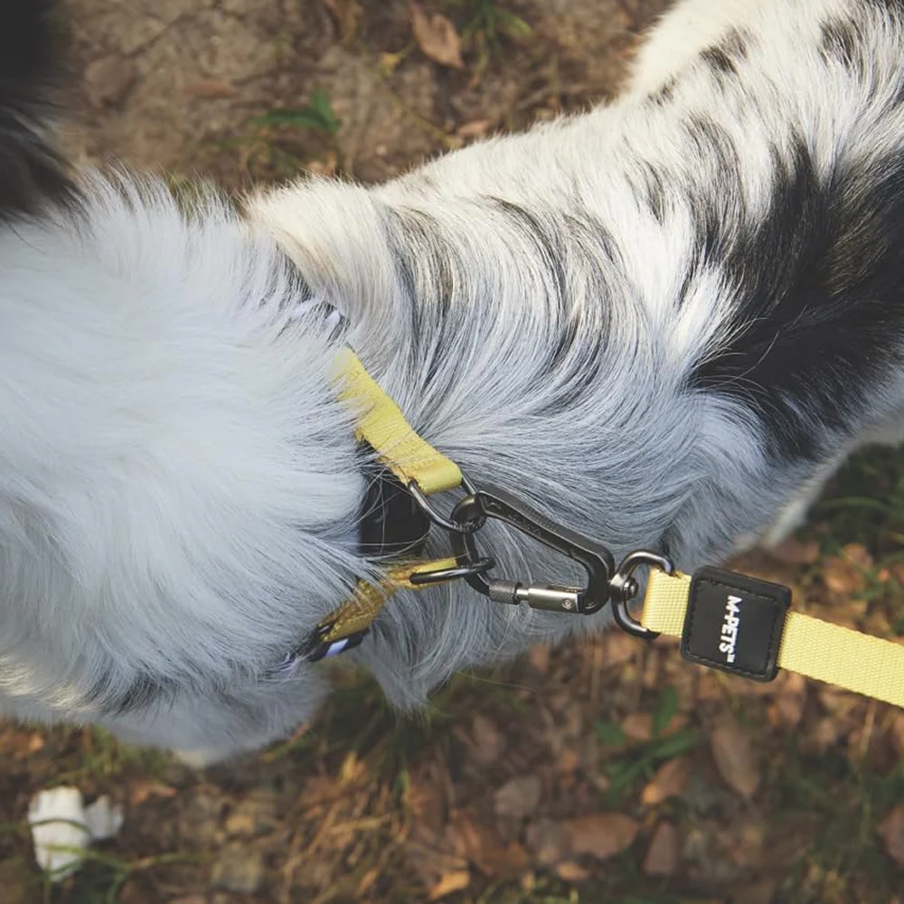 M Pets Wild Safari Regular Leash for Dogs - Image 3