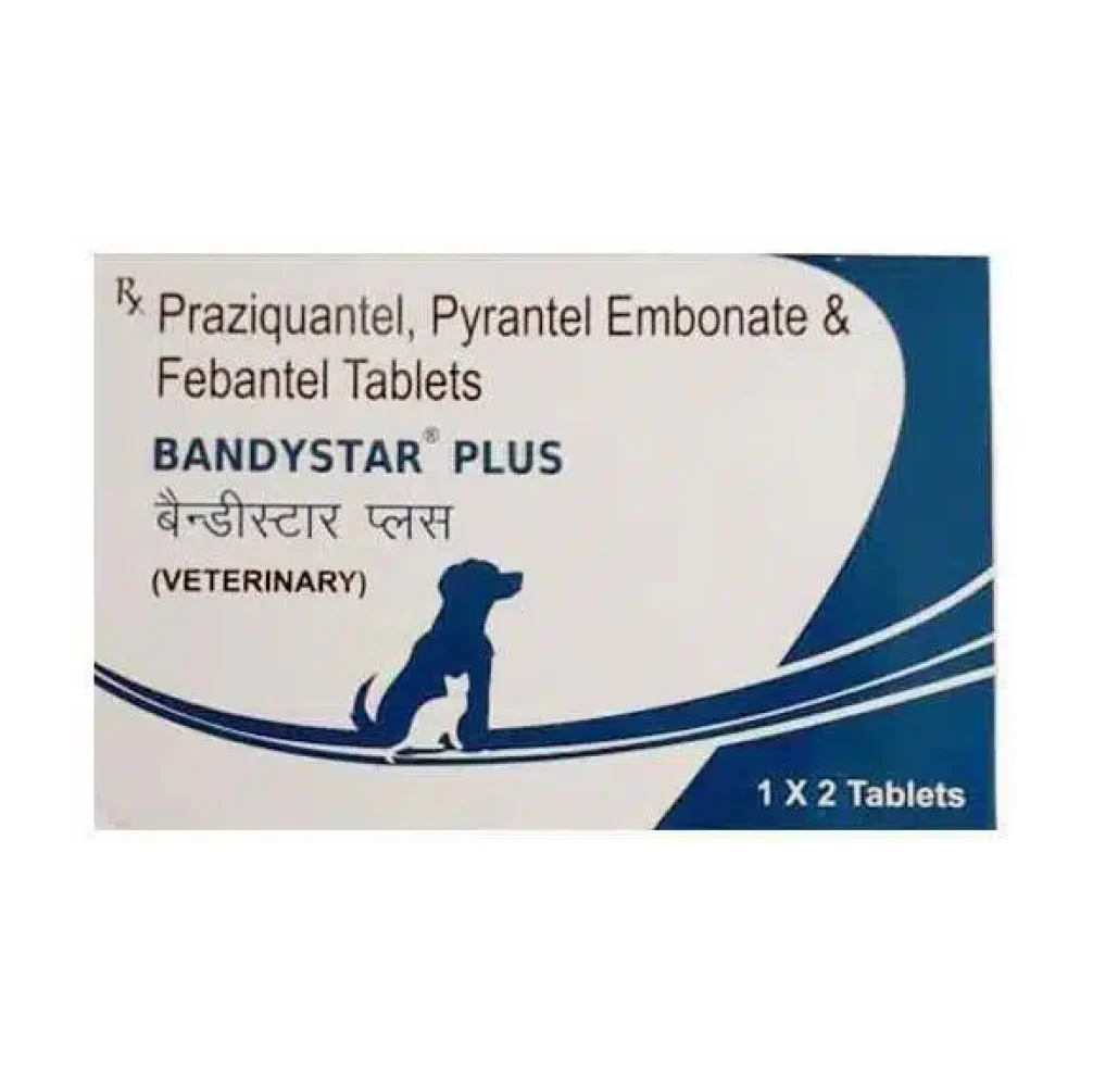 Mankind Bandystar Plus Deworming Tablets for Dogs (pack of 2 tablets) - Image 2