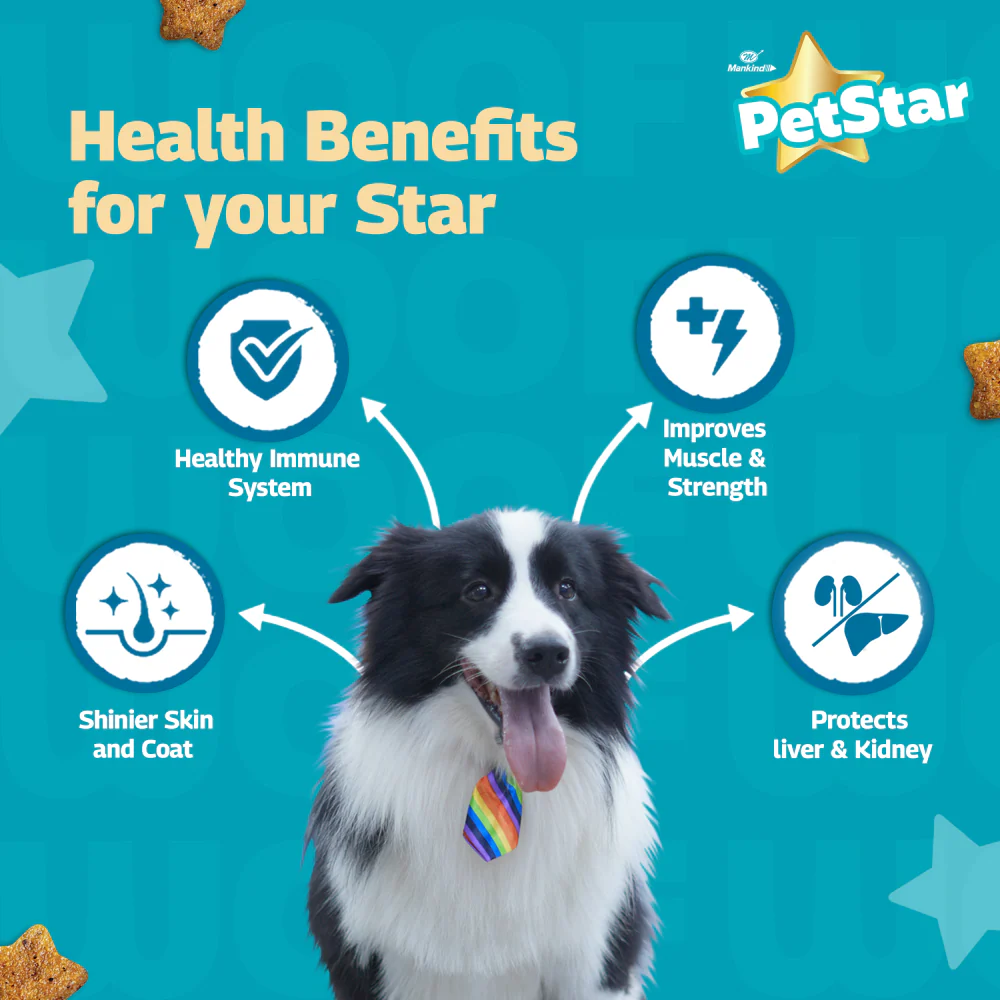 Mankind Petstar Chicken and Wheat Adult Dog Dry Food - Image 5
