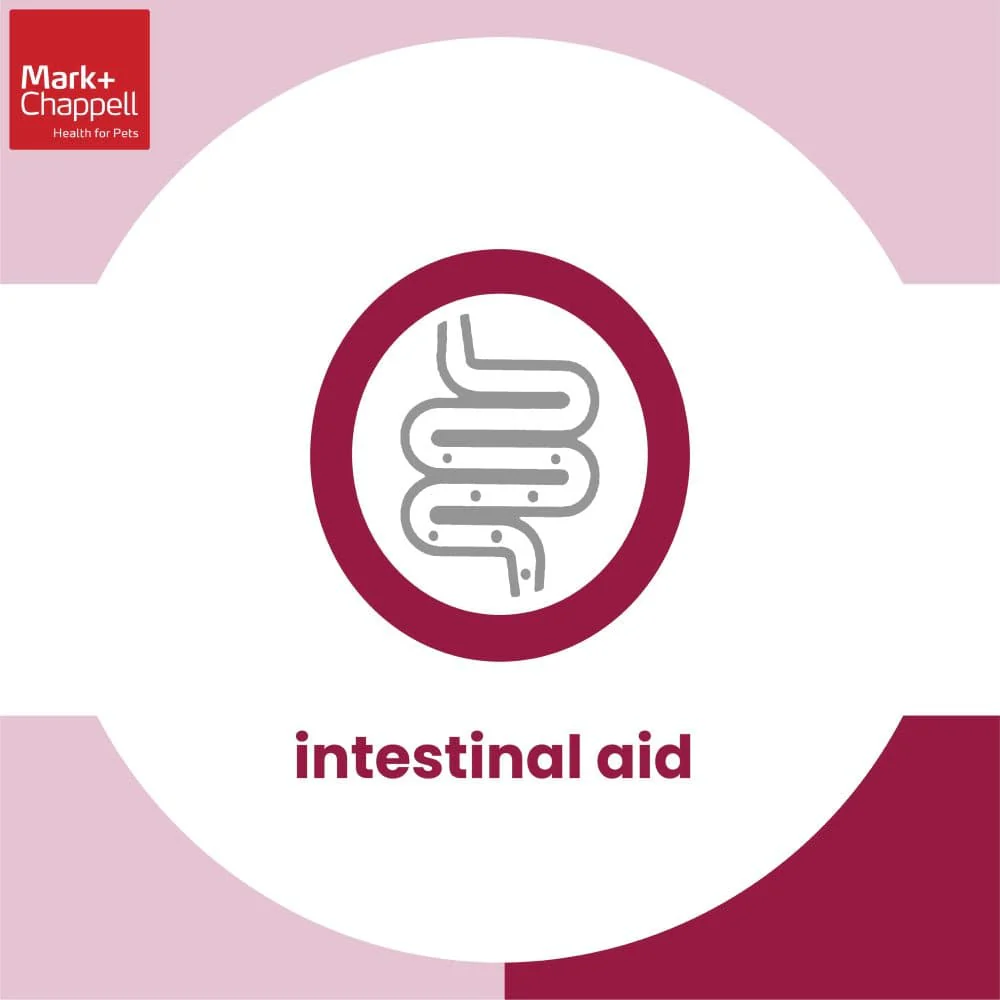 Mark and Chappell Healthy Intestinal Aid Puppy Treats - Image 7