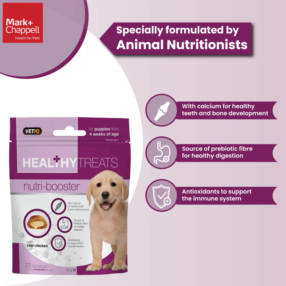 Mark and Chappell Healthy Nutri Booster Puppy Treats - Image 6