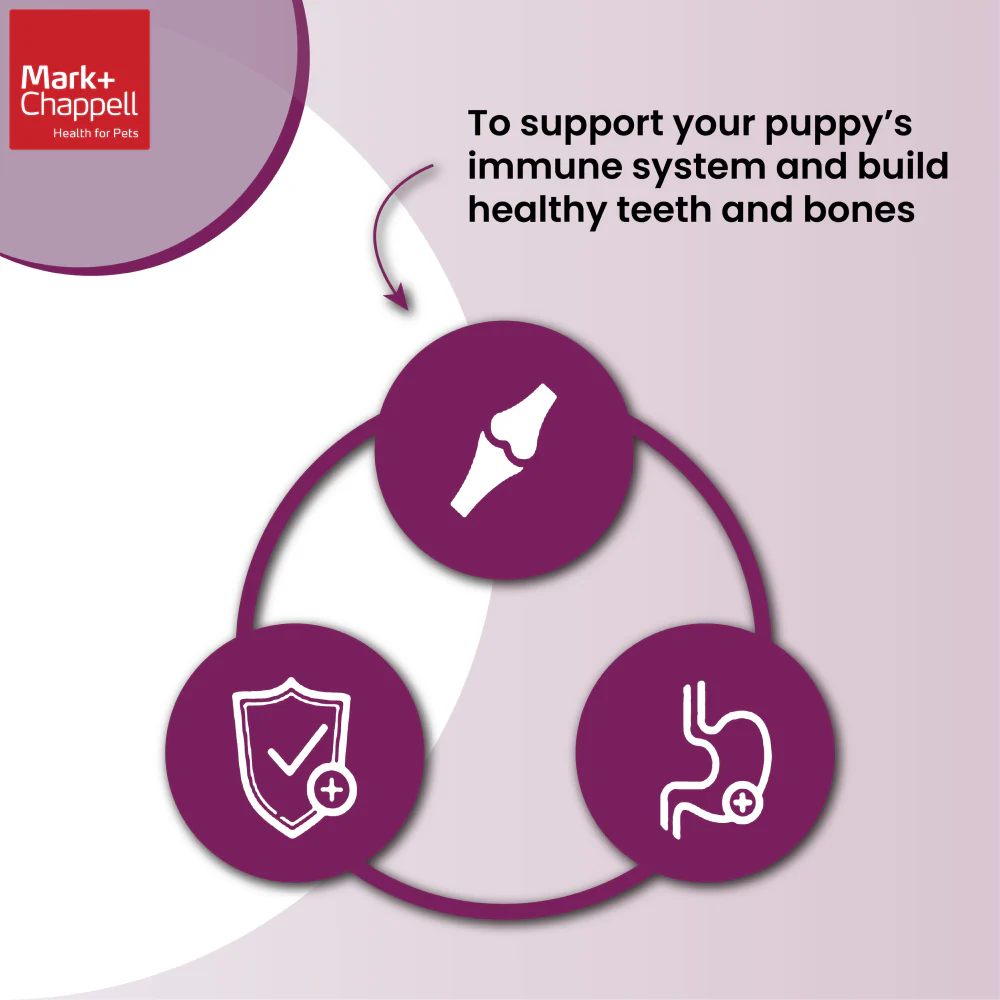 Mark and Chappell Healthy Nutri Booster Puppy Treats - Image 9