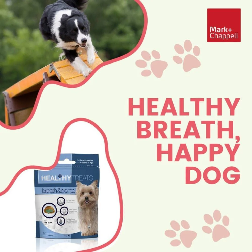 Mark and Chappell Healthy Teething Puppy Treats - Image 10