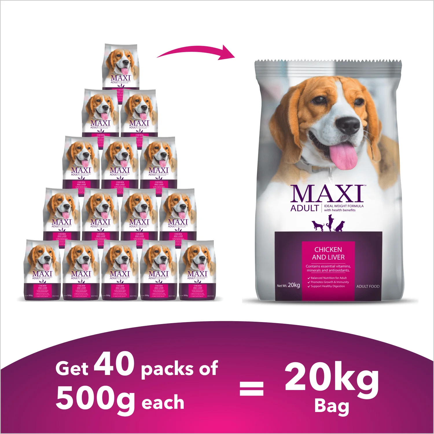 Maxi Adult Chicken and Liver Dog Dry Food - Image 3