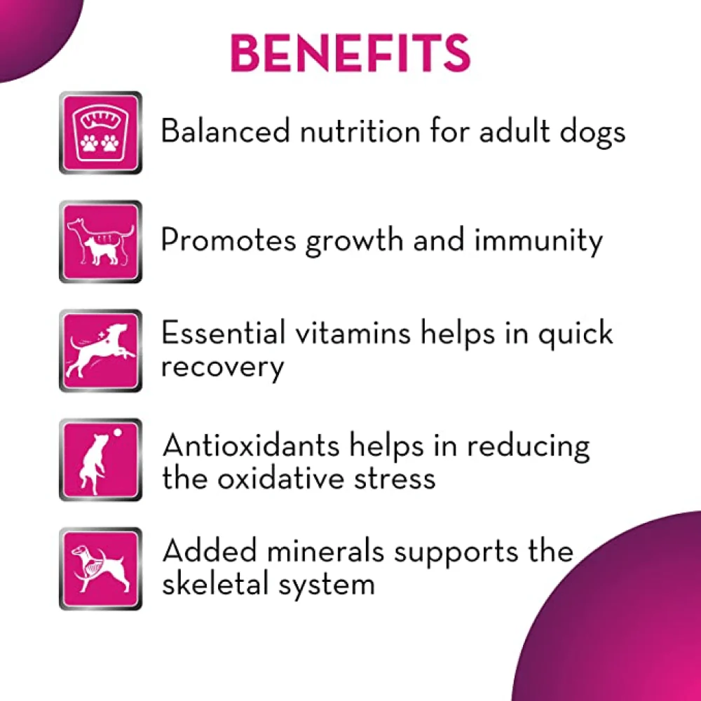 Maxi Adult Chicken and Liver Dog Dry Food - Image 4