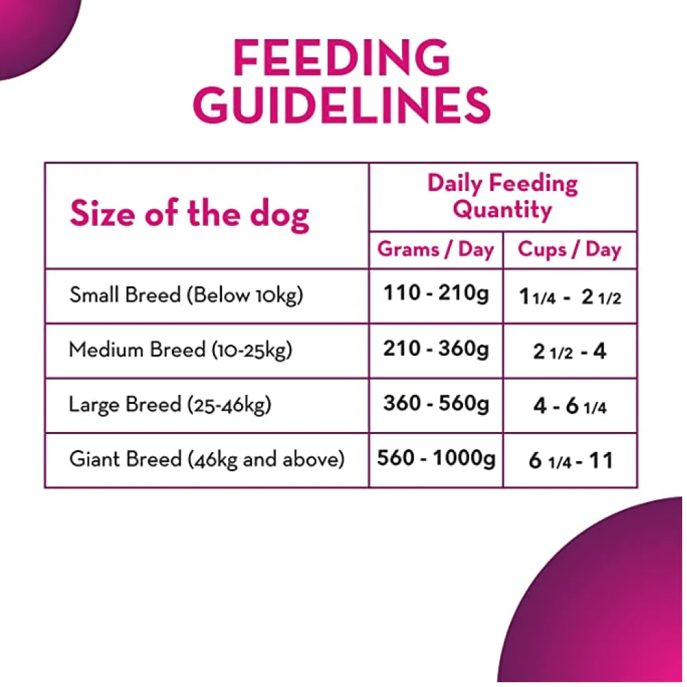 Maxi Adult Chicken and Liver Dog Dry Food - Image 6