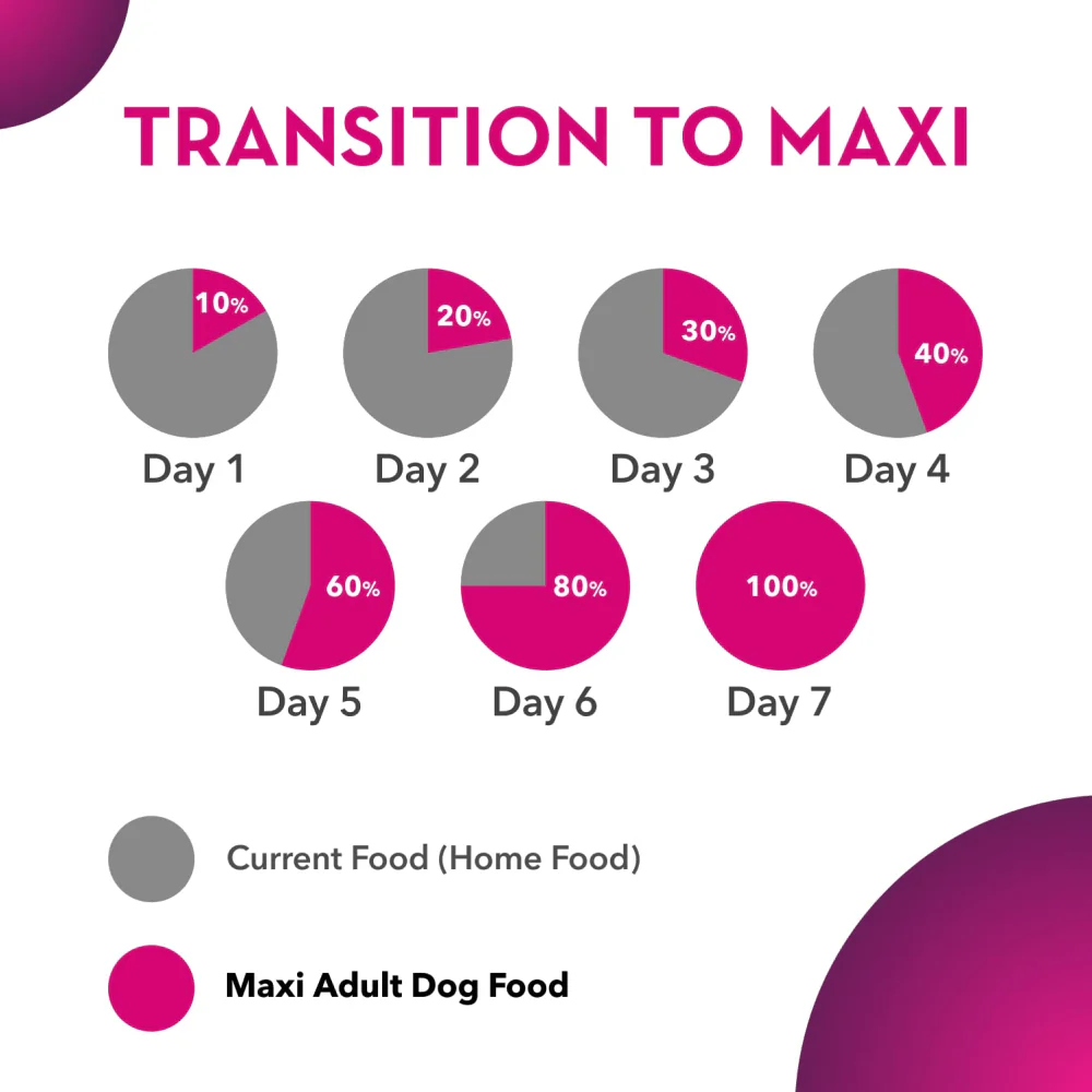 Maxi Adult Chicken and Liver Dog Dry Food - Image 7