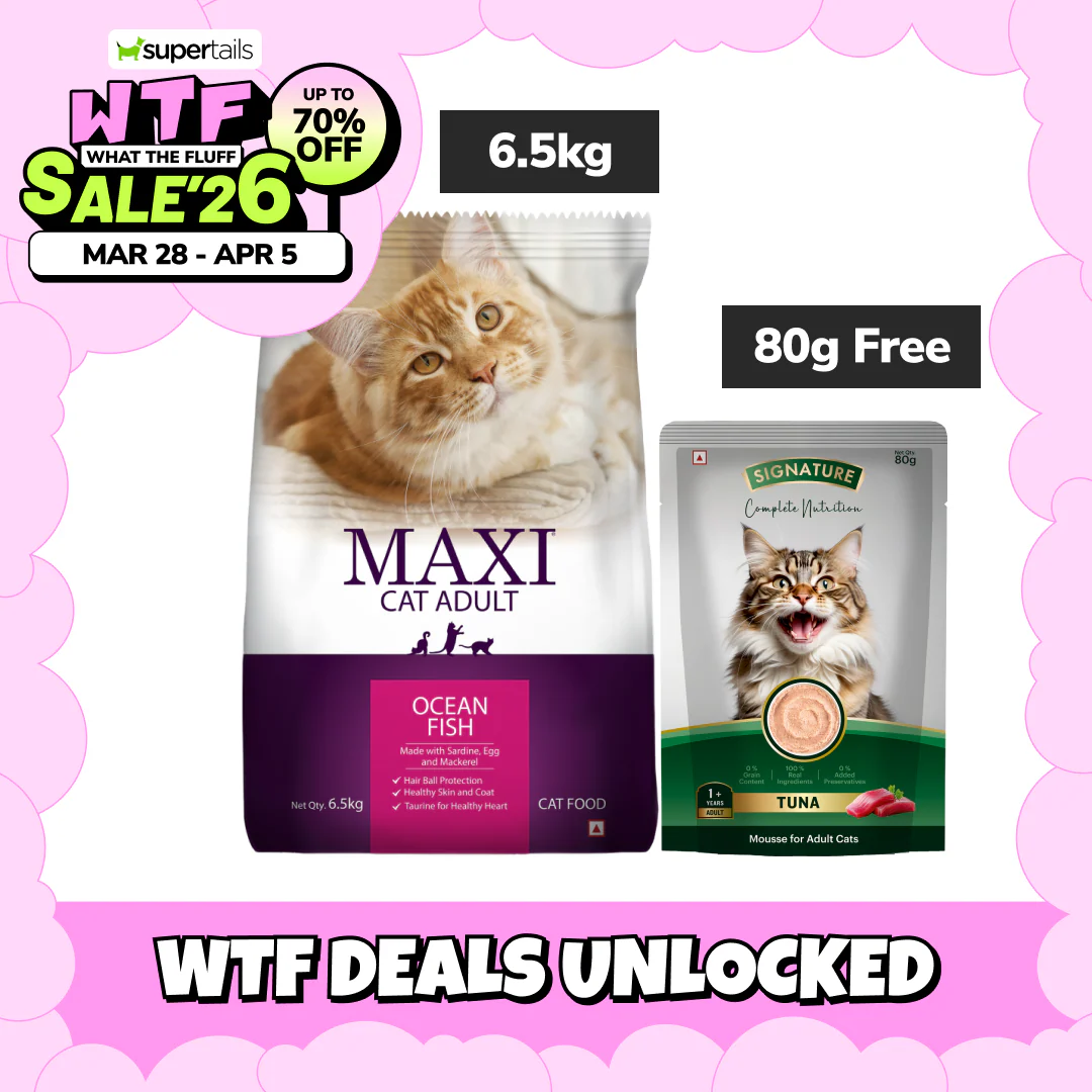 Maxi Adult Ocean Fish Adult Dry Cat Food - Image 11