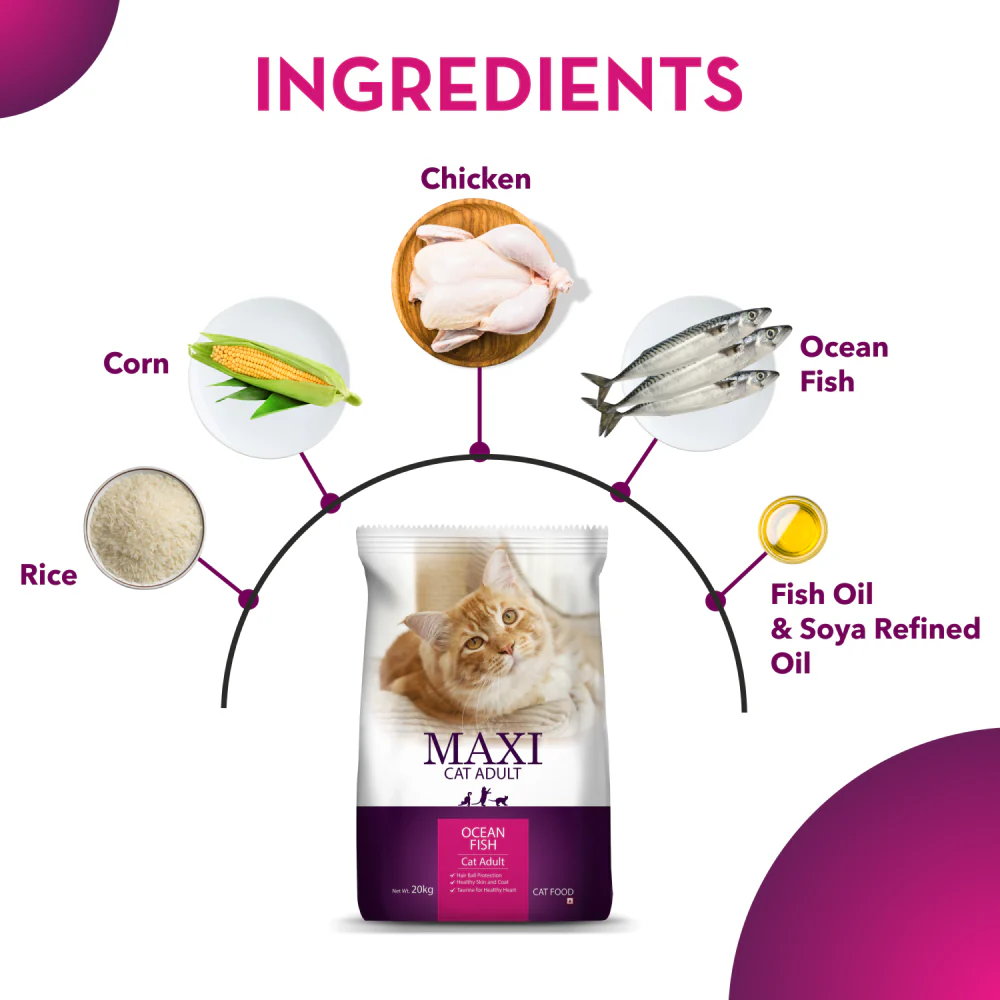 Maxi Adult Ocean Fish Adult Dry Cat Food - Image 5