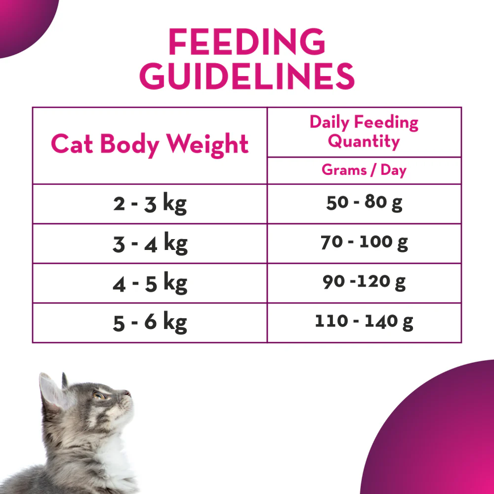 Maxi Adult Ocean Fish Adult Dry Cat Food - Image 7