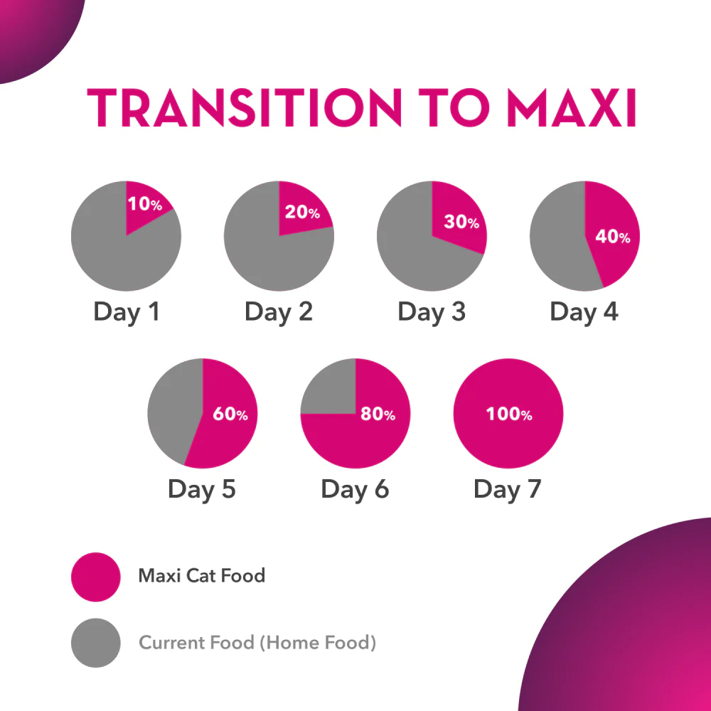 Maxi Adult Ocean Fish Adult Dry Cat Food - Image 8