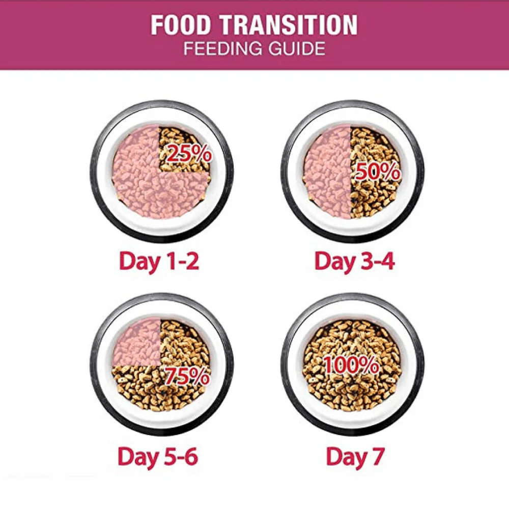 Me O Adult Persian Cat Dry Food - Image 5