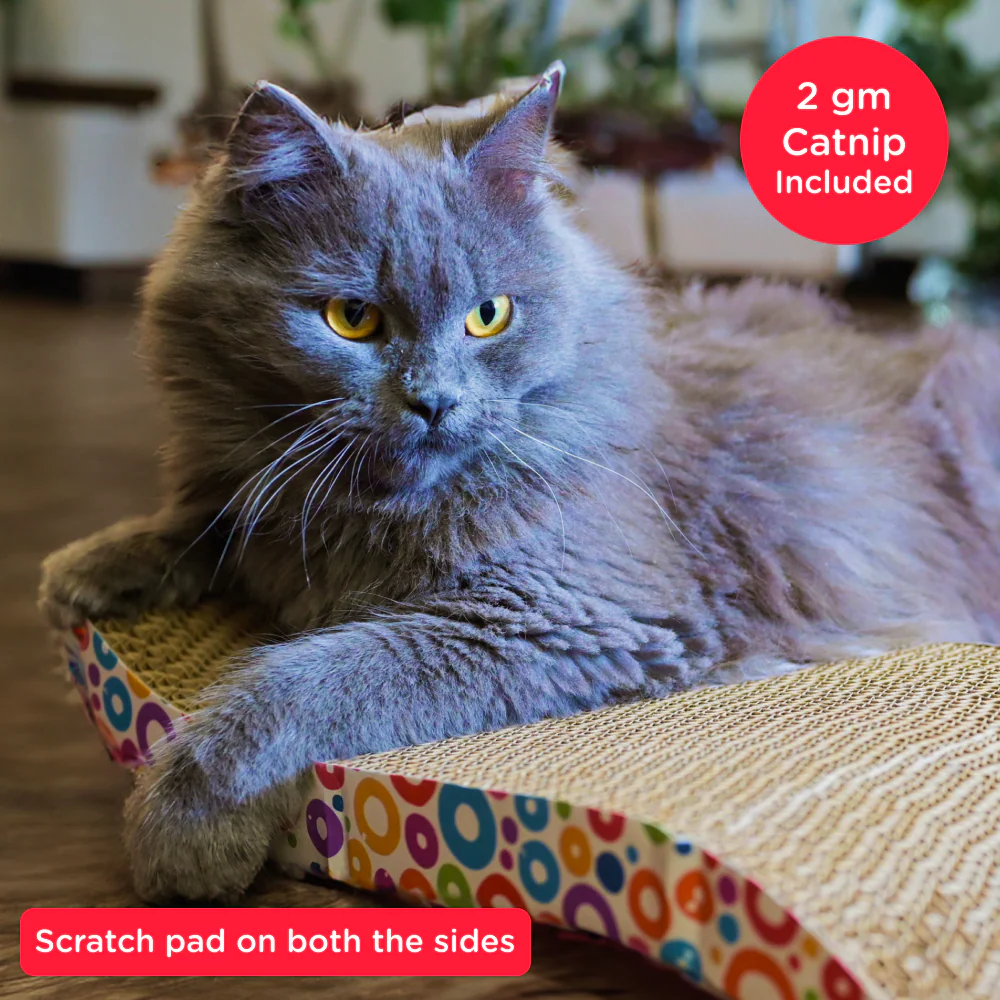 Me O Creamy Chicken & Liver Treats with Skatrs Wave Cat Scratcher & 2g Premium Catnip Combo - Image 4
