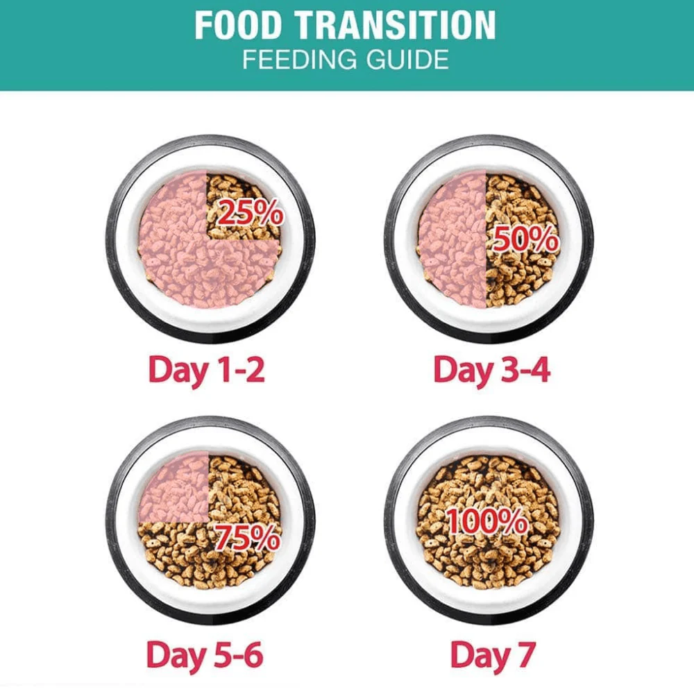 Me O Persian Kitten Cat Dry Food - Image 2