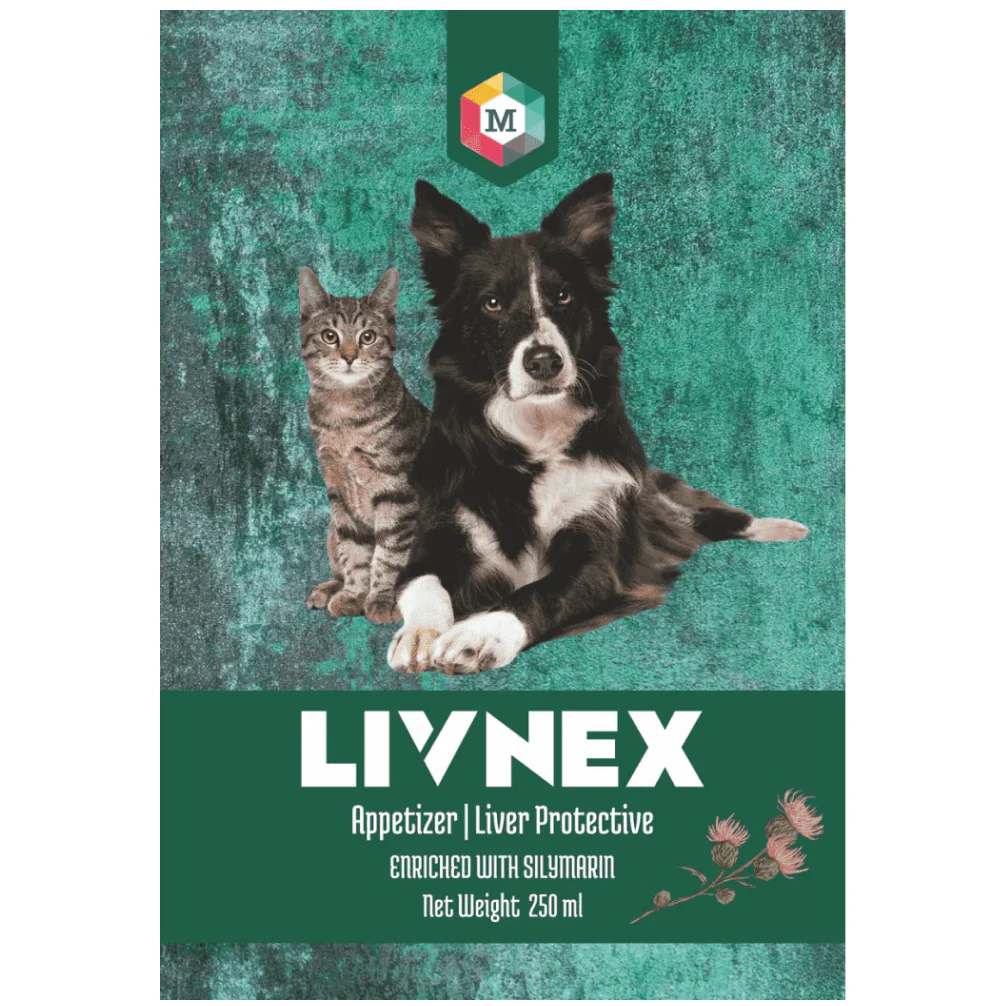Medfly Healthcare LivNex Syrup for Dogs and Cats (250ml) - Image 2