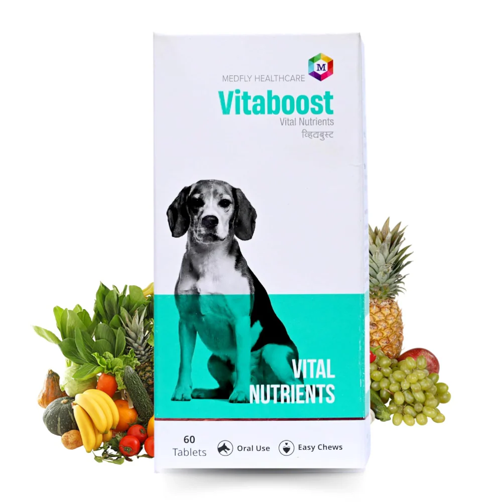 Medfly Healthcare Vitaboost for Dogs and Cats (Pack of 60 Tablets) - Image 3