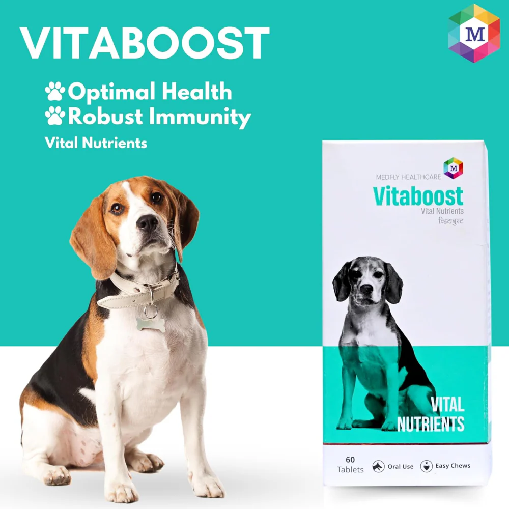 Medfly Healthcare Vitaboost for Dogs and Cats (Pack of 60 Tablets) - Image 4