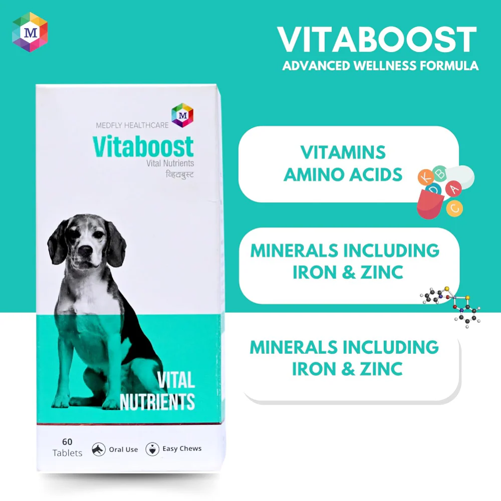 Medfly Healthcare Vitaboost for Dogs and Cats (Pack of 60 Tablets) - Image 5