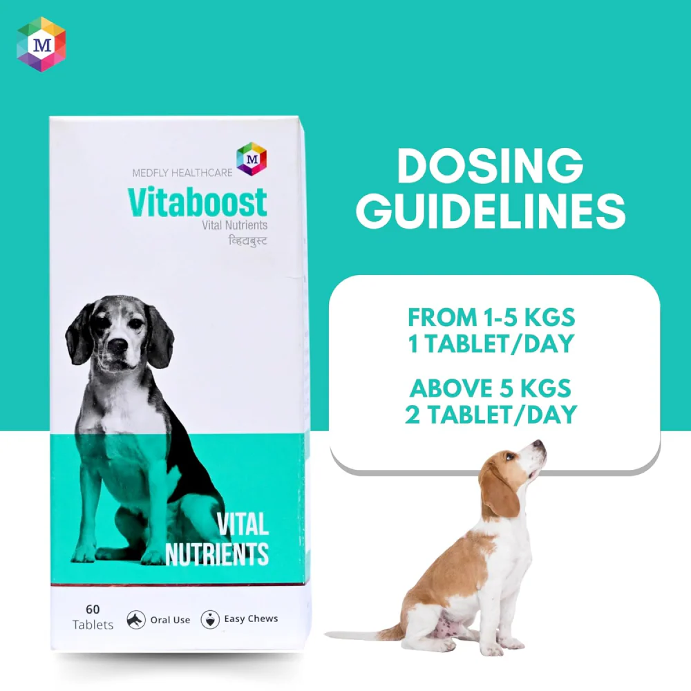 Medfly Healthcare Vitaboost for Dogs and Cats (Pack of 60 Tablets) - Image 6