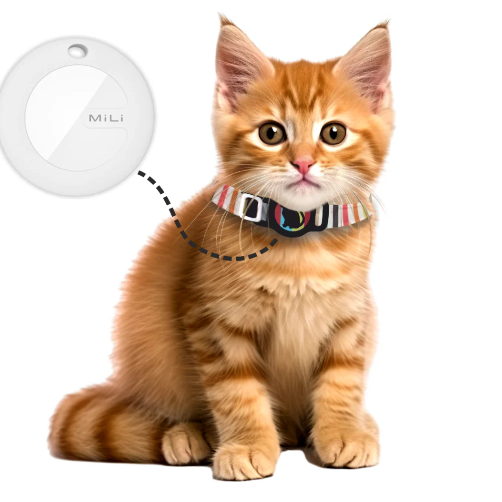 Mitag Anti Loss Device with Collar for Cats (Black) | IOS - Image 6
