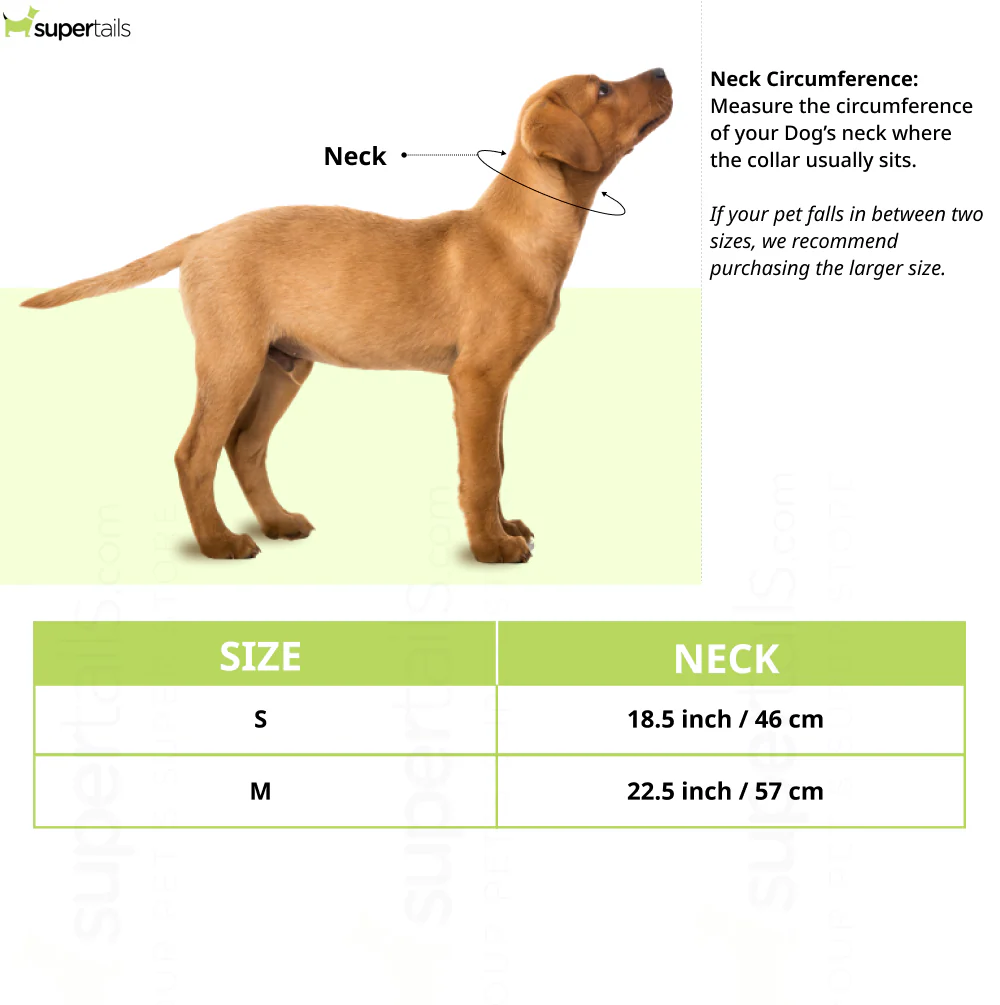 Mitag Anti Loss Device with Collar for Small Dogs (Black) | IOS - Image 2