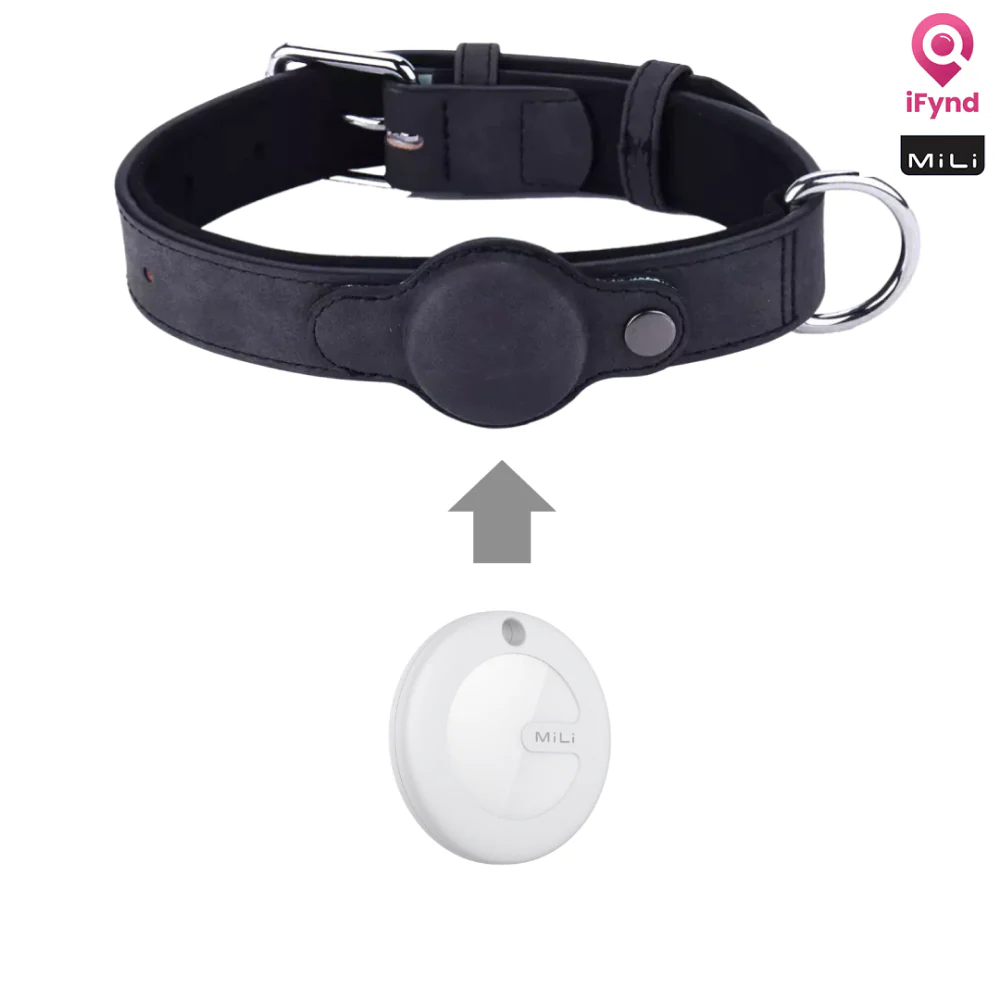Mitag Anti Loss Device with Collar for Small Dogs (Black) | IOS - Image 3