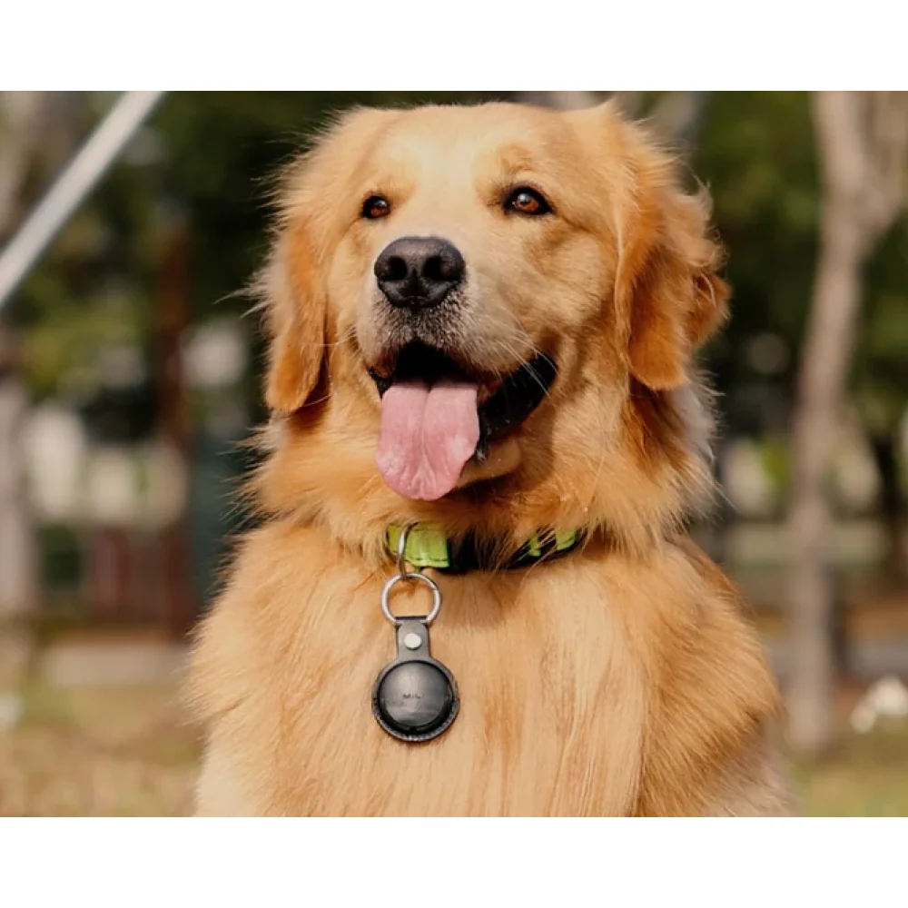 Mitag Anti Loss Device with Keychain for Dogs and Cats (Brown) | IOS - Image 10