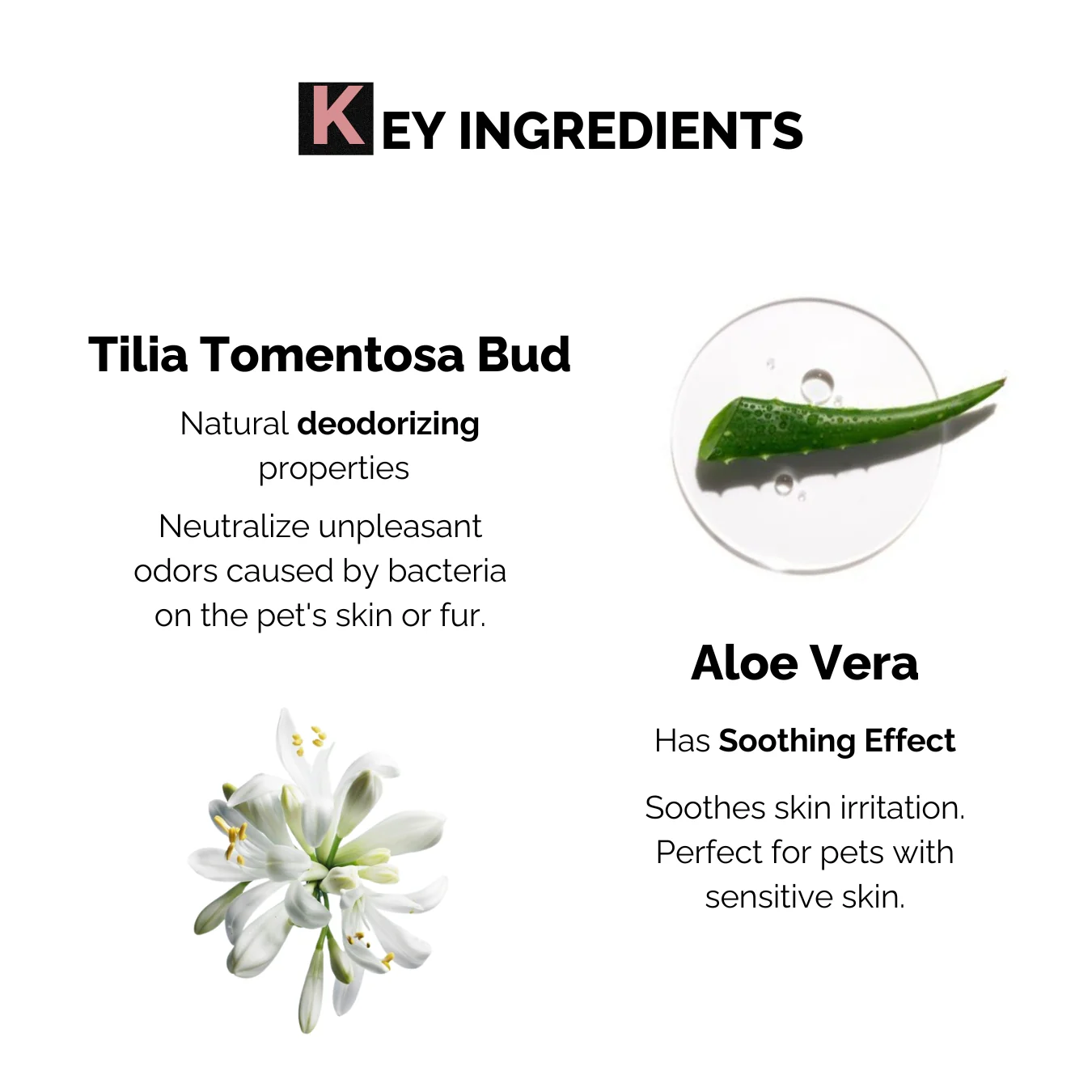 Moe Puppy Aloe Vera Deodorizer for Dogs and Cats - Image 3