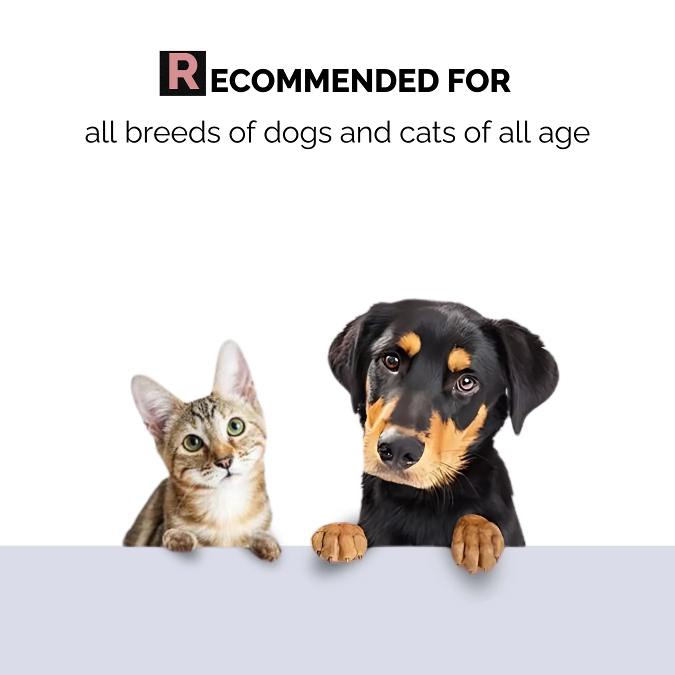 Moe Puppy Aloe Vera Deodorizer for Dogs and Cats - Image 5