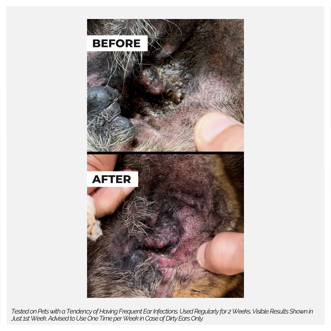Moe Puppy Care Plus Ear Cleanser for Dogs and Cats - Image 4