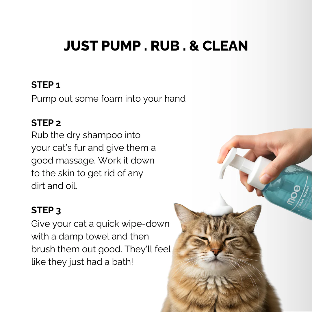 Moe Puppy Cleansing & Conditioning Foam Shampoo for Cats - Image 3